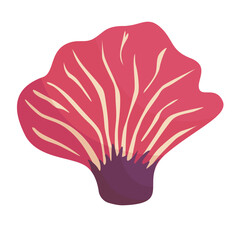 underwater colored coral reef aquatic