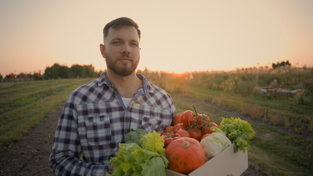 Caucasian male man guy farmer carrying rich harvest hands holding cardboard box different ripe freshly picked vegetables agricultural healthy food walking rural field sunset farmland farm harvesting