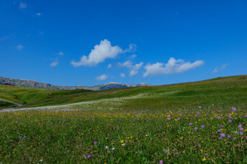 Seiser Alm (Italian: Alpe di Siusi, Ladin: Mont Sëuc) is a Dolomite plateau and the largest high-elevation Alpine meadow in Europe. Located in Italy's South Tyrol province in the Dolomites