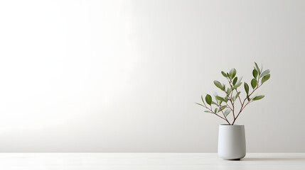 Simple White Room with Plant