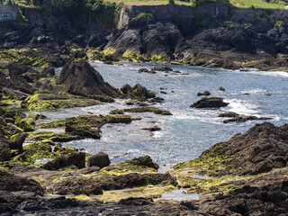 bello paisaje del mar con muchas rocas. paisaje verde