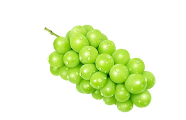 シャインマスカットのイラスト マスカット リアル