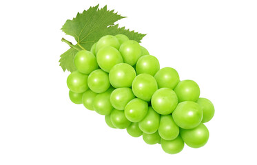 シャインマスカットのイラスト マスカット リアル