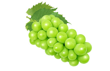 シャインマスカットのイラスト マスカット リアル