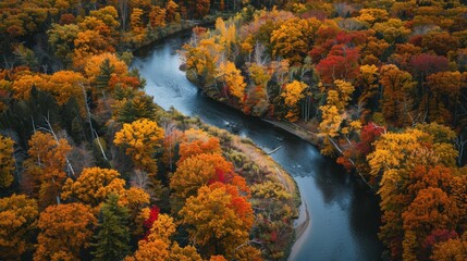 Serene River Meandering Through Vibrant Autumn Forest - Peaceful Nature Landscape in Fall Season