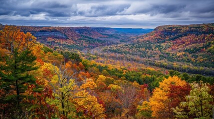 Autumn Glory: Majestic Valley Overlook with Vibrant Fall Foliage in Full Colors
