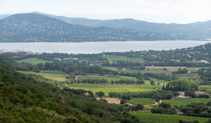 Fototapeta premium Landscape of French Riviera, view on hills, houses and green vineyards from above Cotes de Provence, production of rose wine near Saint-Tropez and Pampelonne beach, Var, France