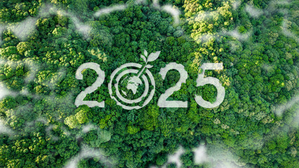 goal 2025 New Year  Green business planning and development for sustainable environmental...