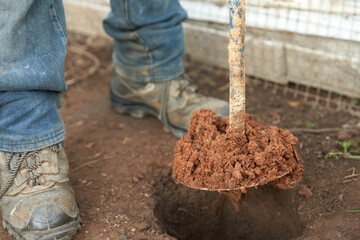 Drilling vertical holes with a hand drill. Cutting part of the tool with clay at the mouth of the hole between the legs of the worker. Fragment.