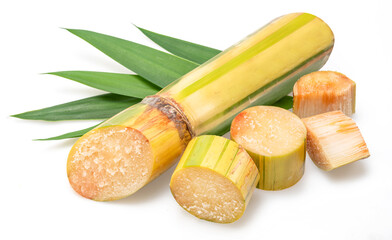 Sugarcane pieces and sugar cane leaves isolated on white background.