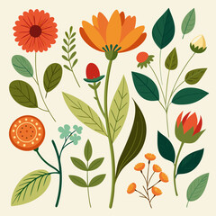 Historic plant artwork