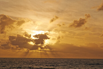 Sunset, water and horizon of natural environment, beach and ocean during night in summer. Sky, nature and sunrise in landscape for tropical, calm or destination with island peace on Waikiki, Honolulu