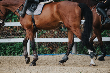 Detailed view of horse legs and rider during equestrian training session in an outdoor arena...