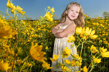 Little girl in the Tickseed Sunflower (Bearded Beggarticks) fields