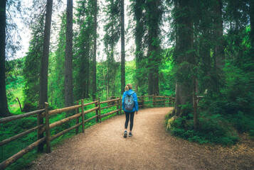 Woman in a blue jacket with backpack is walking on a forest trail, trees with lush green foliage in summer. Slim girl on the path with a wooden fence. Hiking and travel in Dolomites, Italy. Nature