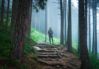 Obraz premium Woman in a blue jacket with backpack is walking in foggy forest, trail with stone stairs, trees with lush green foliage in fog in summer. Slim girl on the path. Hiking and trekking in Dolomites, Italy