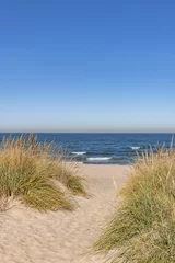 Fototapete Dünen pathway to Lake Michigan at Indiana Dunes National Park, NPS  © Colin