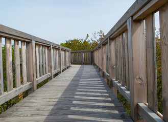 Holzbrücke in der Natur