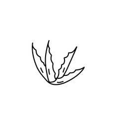 aloe vera line icon