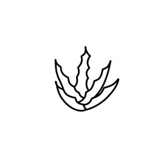 aloe vera line icon