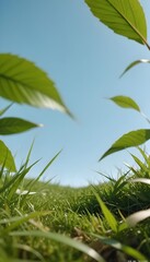 vibrant green grass and a bright blue sky