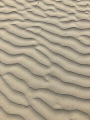 texture of sand