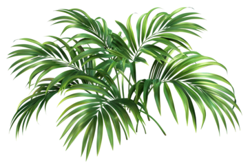 Lush green palm fronds, cut out