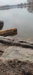 a stone in the lake