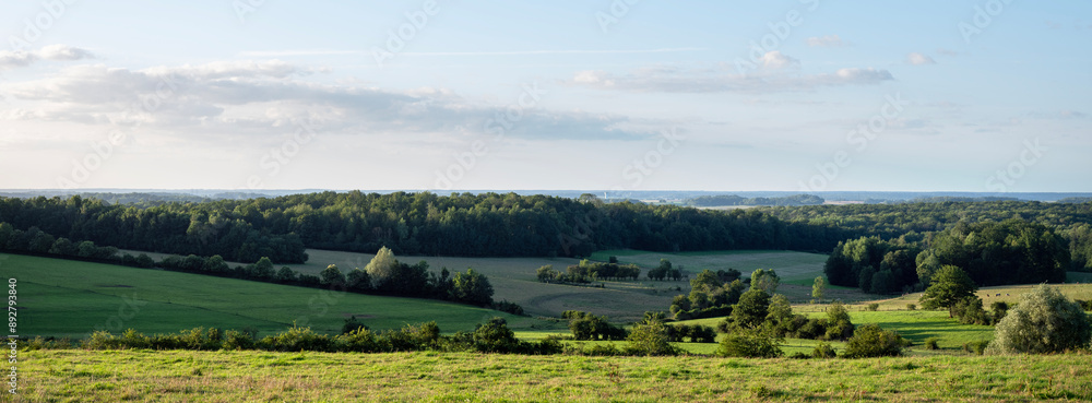 Canvas Prints countryside landscape near Hirson in northern france with forest and fields