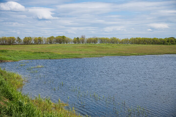 Summer landscape on the river bank