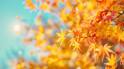 Fototapeta premium Abstract autumn nature background, with leaves, glowing sun and warm seasonal colors
