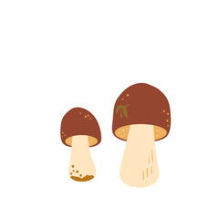 Fototapeta premium White fungus isolated on white background. Edible mushrooms Vector hand drawn illustration