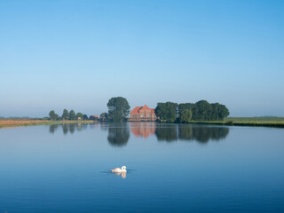 Fototapeta premium swan near pumping station A.F. Stroink in dutch national park weerribben wieden