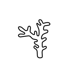 coral and seaweed icon