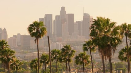 Capture the picturesque image of Downtown Los Angeles, California, USA, with palm trees in the foreground and the iconic city skyline in the backdrop at sunset, showcasing a metropolitan landscape