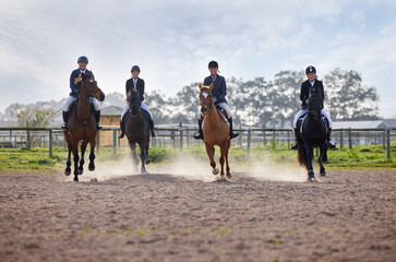 People, equestrian and horse riding on farm, team sports and outdoor for countryside training....