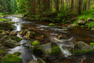 Rolava river with orange bed and grass on bank in summer hot morning