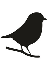 Bird SVG, Bird Silhouette, Feathers SVG, Wings SVG, Pigeon SVG, Sparrow SVG, Fly SVG, Insect SVG, Animals SVG, Bird Design, Cut file for Cricut SVG, JPG, PNG