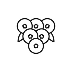 Cranberry icon outline collection in black and on white background
