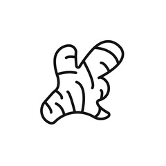 ginger icon outline collection in black and on white background