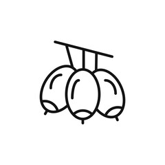 Jujube icon outline collection in black and on white background