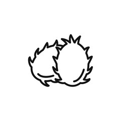 pitaya icon outline collection in black and on white background