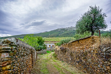 Night image of the street in a village with walls made of stones and the ground with vegetation.