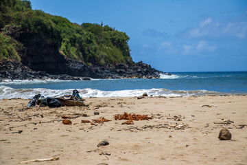 hawaiian coastline with scenic beach