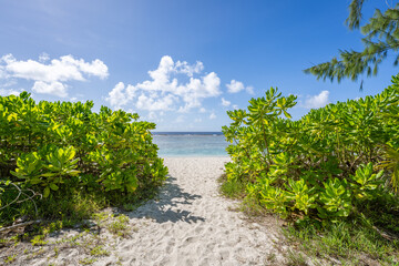 Path to Ritidian Beach, Guam, US Territory