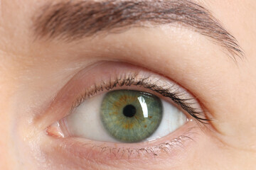 Woman with beautiful green eyes, macro photo