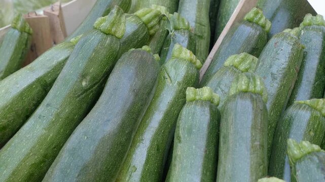 Fresh zucchini displayed at a southern Italian market, showcasing the bounty of local agriculture and the importance of fresh, seasonal produce in Italian cooking.