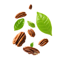 Pecan nuts and green leaves in air on white background