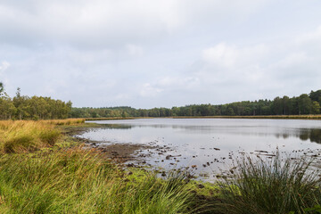 Water area - Leersumse plassen, in the Leersumseveld nature reserve.