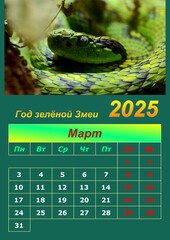 Illustration of a wall calendar 2025 of the Green Snake.